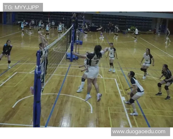 广州排球队心理素质揭秘：排球背后的心灵战斗与团队精神